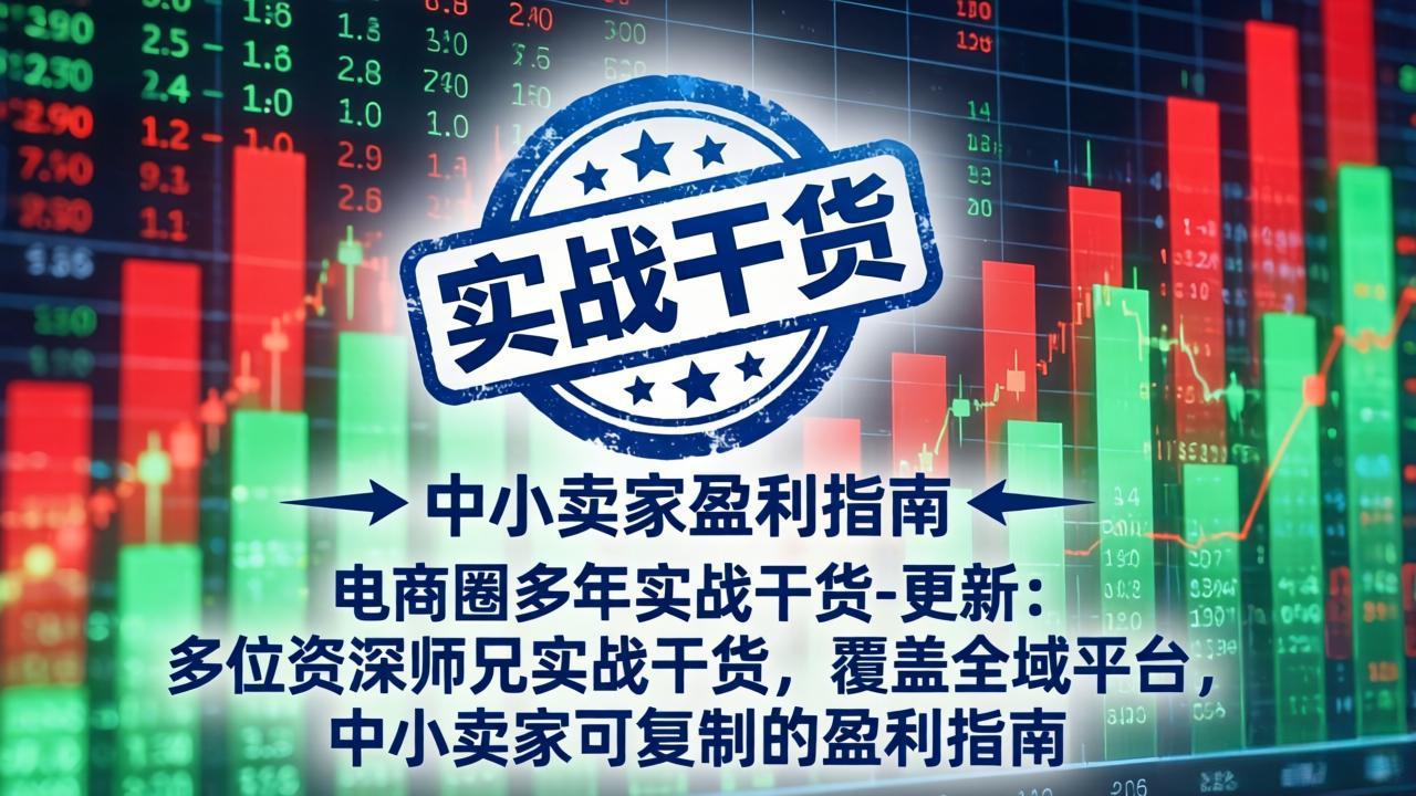 电商实战干货2026:全域平台可复制打法,中小卖家盈利指南-猴哥项目网