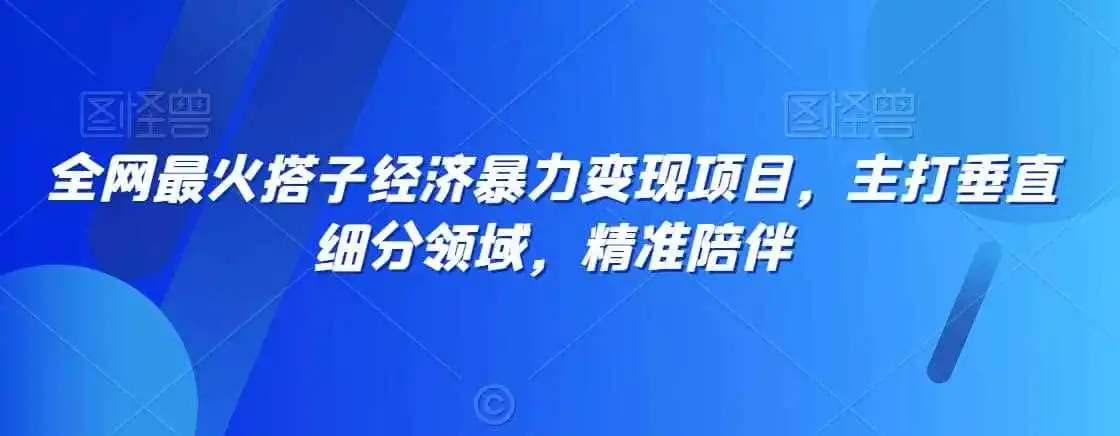 全网最火搭子经济暴力变现项目，主打垂直细分领域，精准陪伴【揭秘】-猴哥项目网