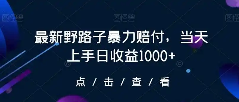 最新野路子暴力赔付，当天上手日收益1000+【仅揭秘】-猴哥项目网