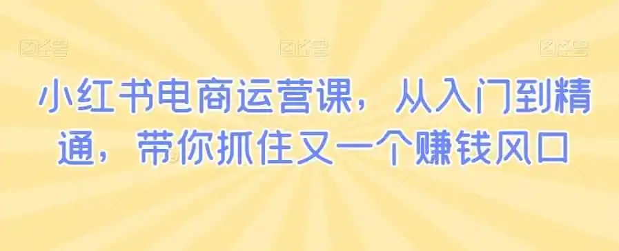 小红书电商运营课,从入门到精通,带你抓住又一个赚钱风口-猴哥项目网