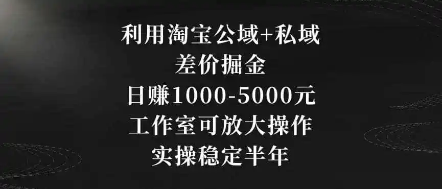 利用淘宝公域+私域差价掘金,日赚1000-5000元,工作室可放大操作,实操稳定半年【揭秘】-猴哥项目网