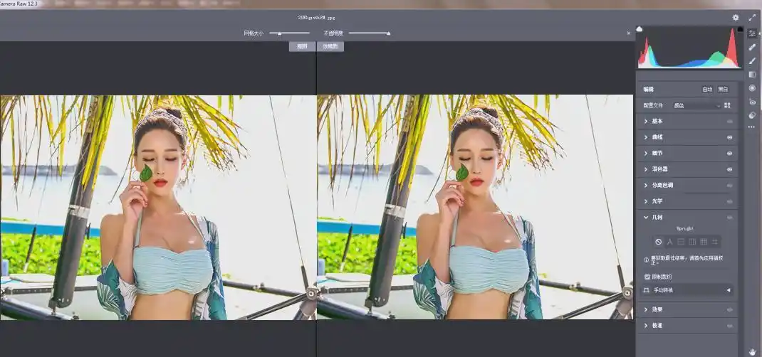 RAW处理Adobe Camera Raw v18.6.0中文版-猴哥项目网