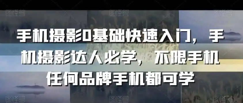 手机摄影0基础快速入门,手机摄影达人必学,不限手机任何品牌手机都可学-猴哥项目网